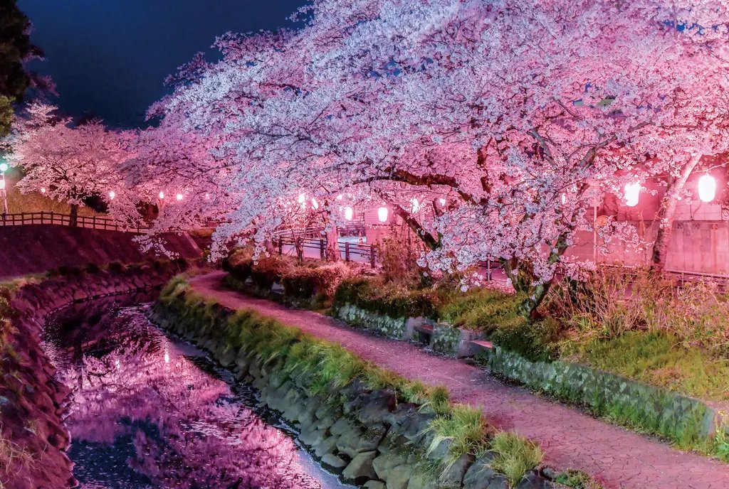 ⛩️ 신지 대사(진기타이샤) 이미지 9